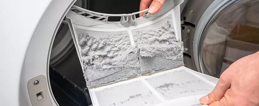 Best Dryer Lint Removal Company in Grove District - Anaheim Resort, California