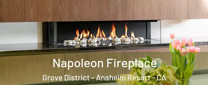 Napoleon Fireplace Grove District - Anaheim Resort - CA