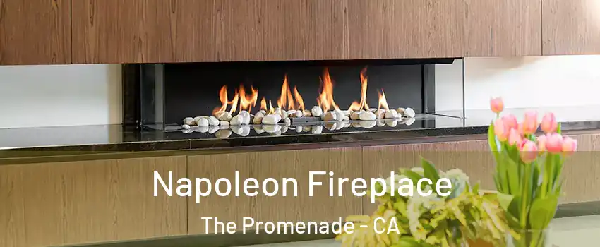 Napoleon Fireplace The Promenade - CA