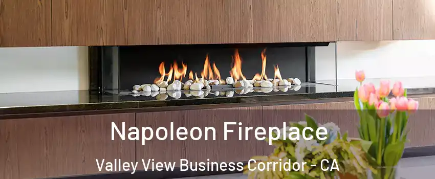 Napoleon Fireplace Valley View Business Corridor - CA