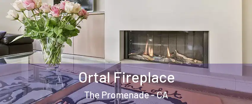 Ortal Fireplace The Promenade - CA