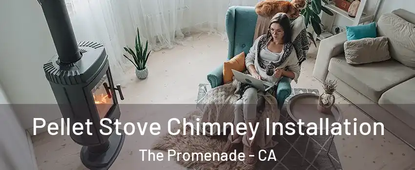 Pellet Stove Chimney Installation The Promenade - CA