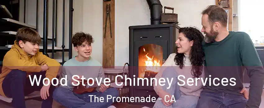 Wood Stove Chimney Services The Promenade - CA
